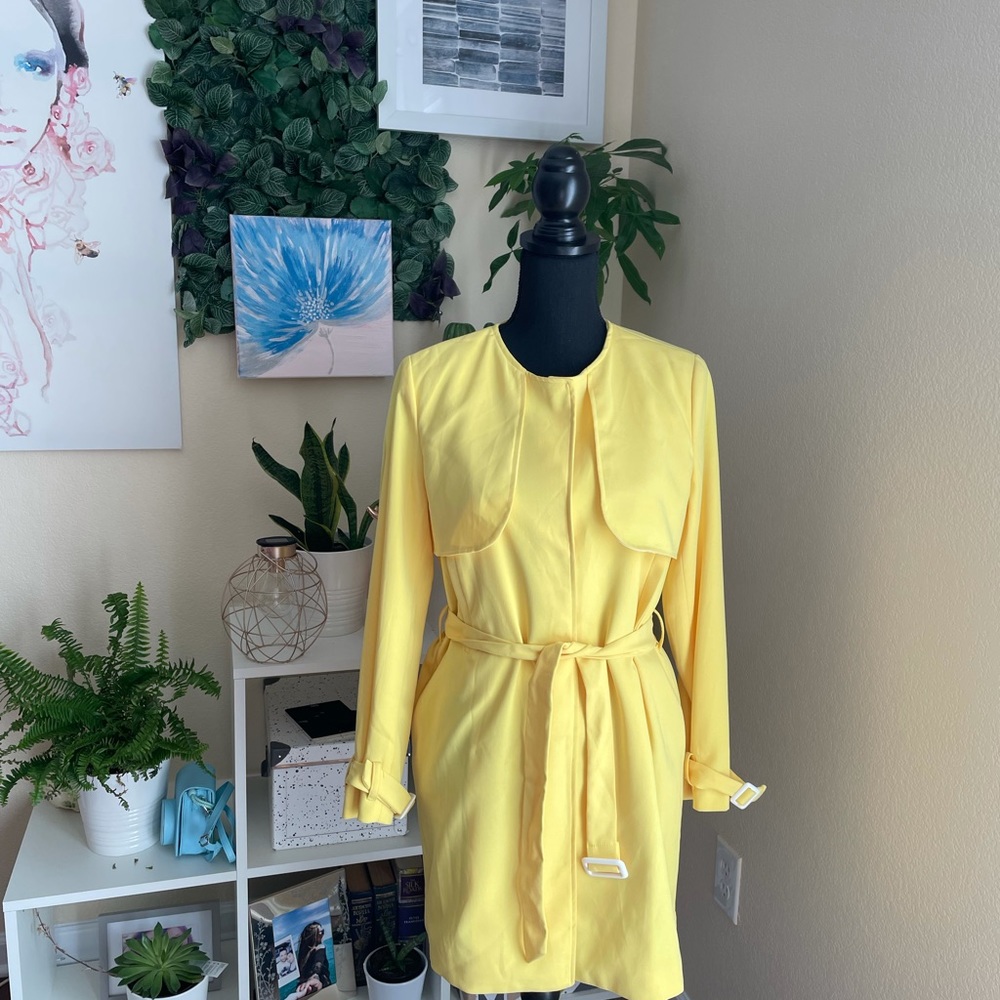 Yellow Coat - image 2